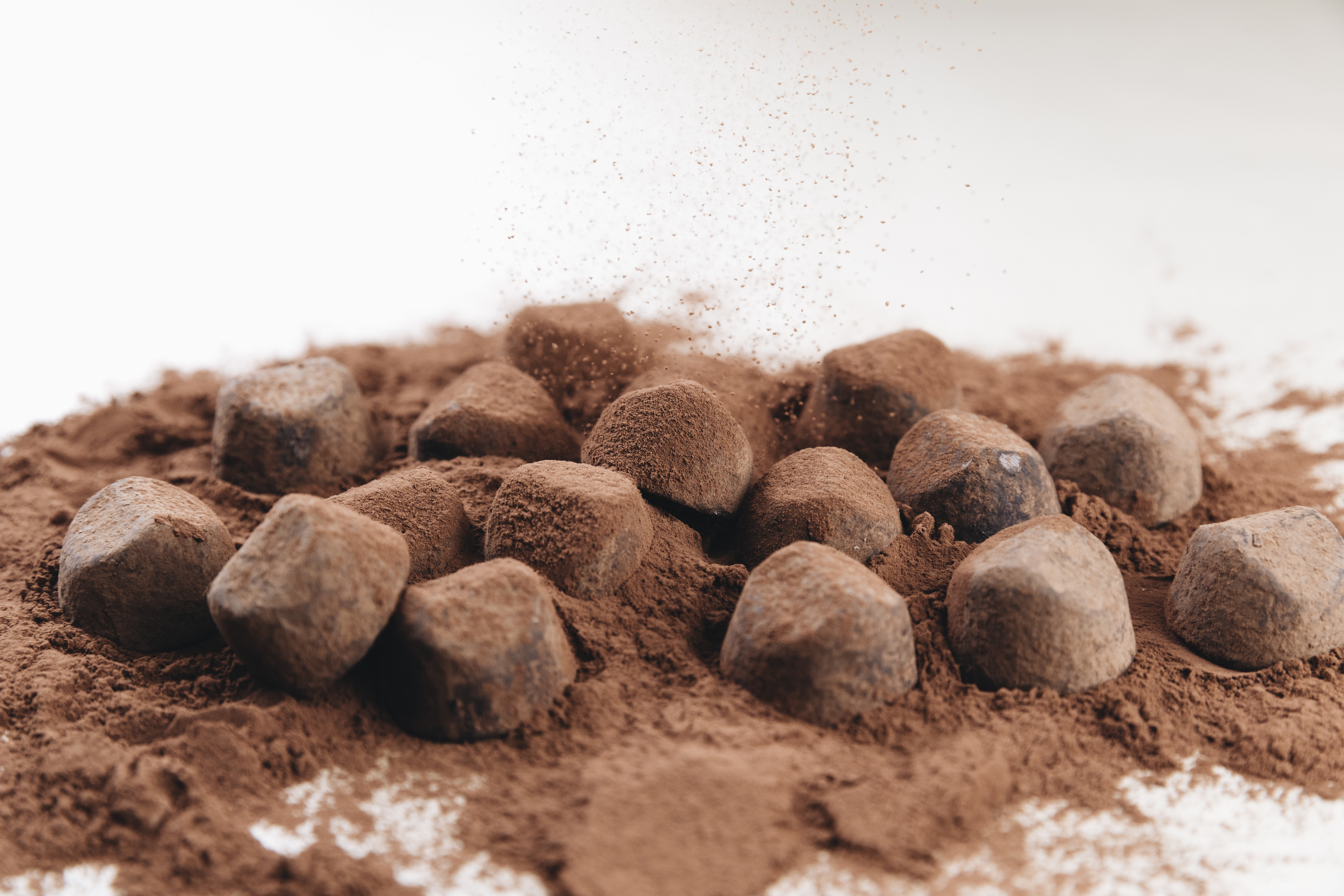 Tourteau de Cacao